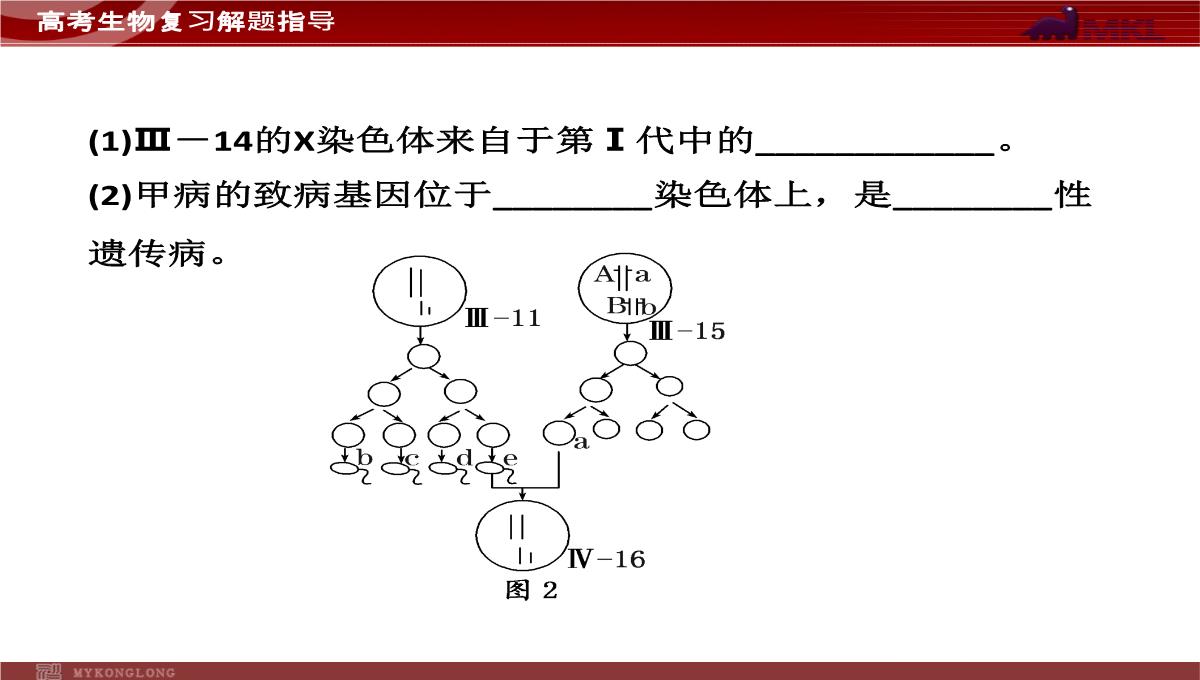 高考专题复习专题4---第3讲--遗传的基因规律、伴性遗传及人类遗传病与优生PPT模板_21