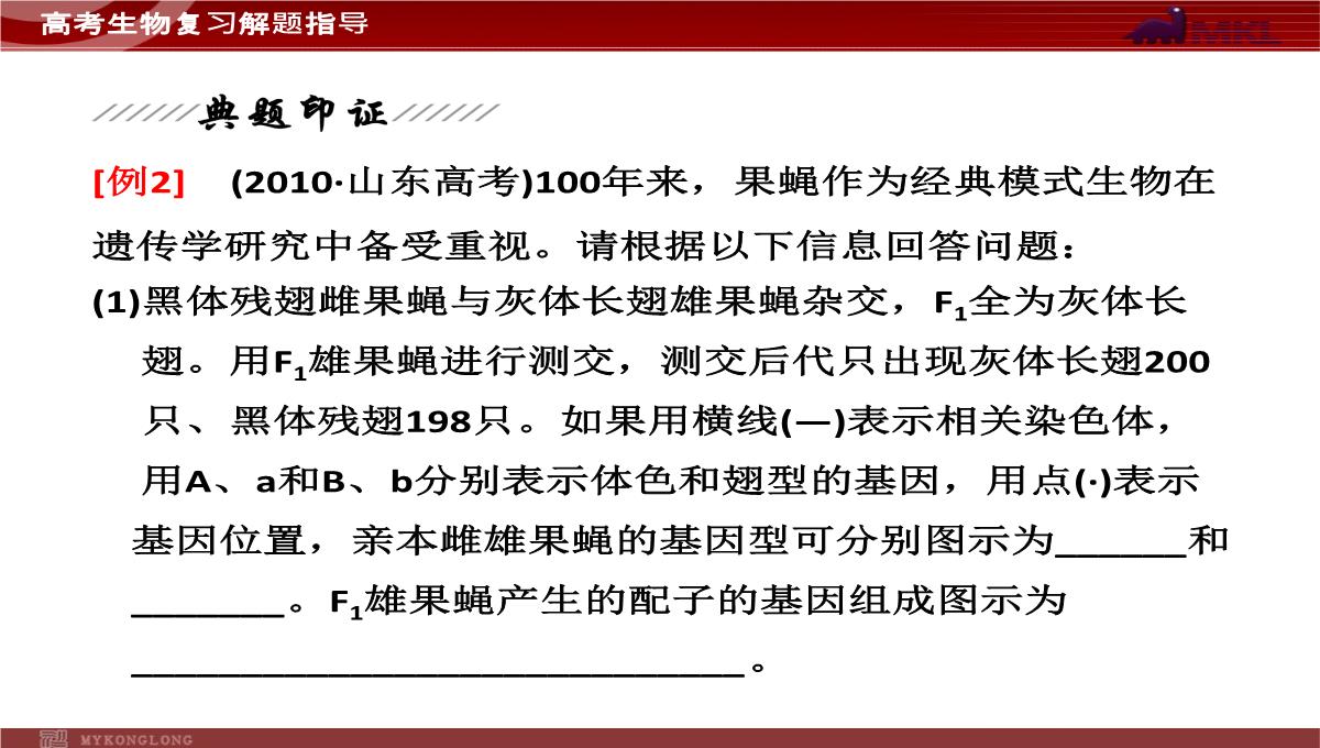 高考专题复习专题4---第3讲--遗传的基因规律、伴性遗传及人类遗传病与优生PPT模板_44