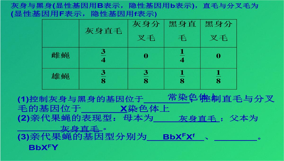 高三人教伴性遗传(共47张PPT)PPT模板_43