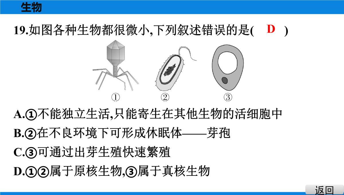 最新人教版中考生物复习第三部分-课标命题必考十大主题-专题四-生物的多样性PPT模板_23