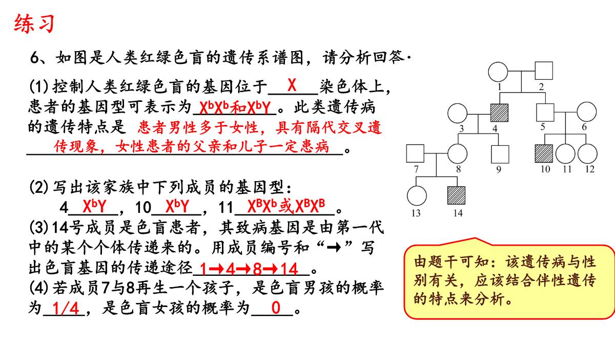 伴性遗传课件高一下学期生物人教版必修2PPT模板_28