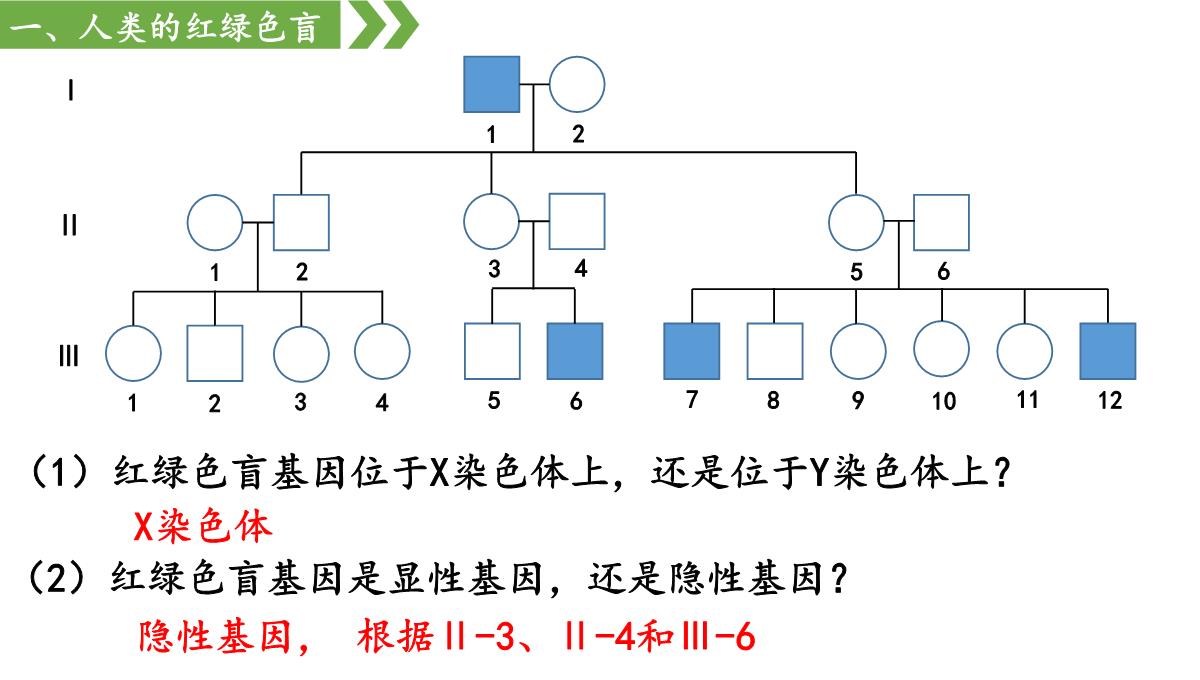 伴性遗传课件高一下学期生物人教版必修2PPT模板_13