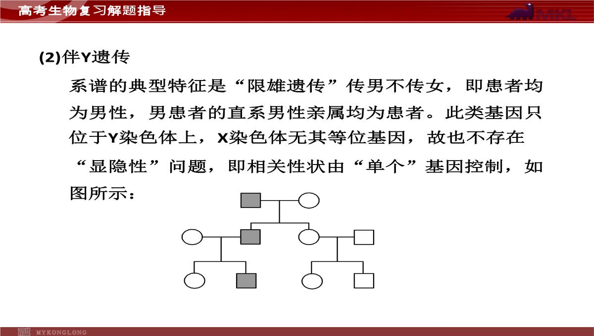 高考专题复习专题4---第3讲--遗传的基因规律、伴性遗传及人类遗传病与优生PPT模板_27