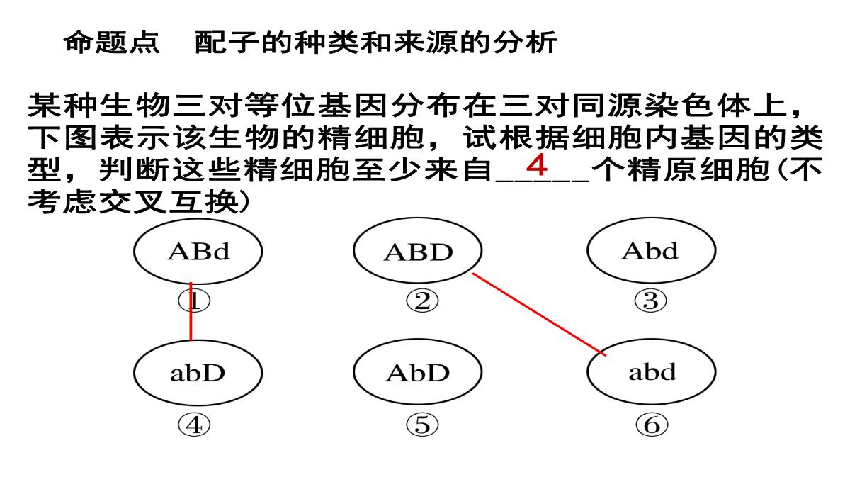 高三一轮复习生物课件：第11讲减数分裂和受精作用PPT模板_38