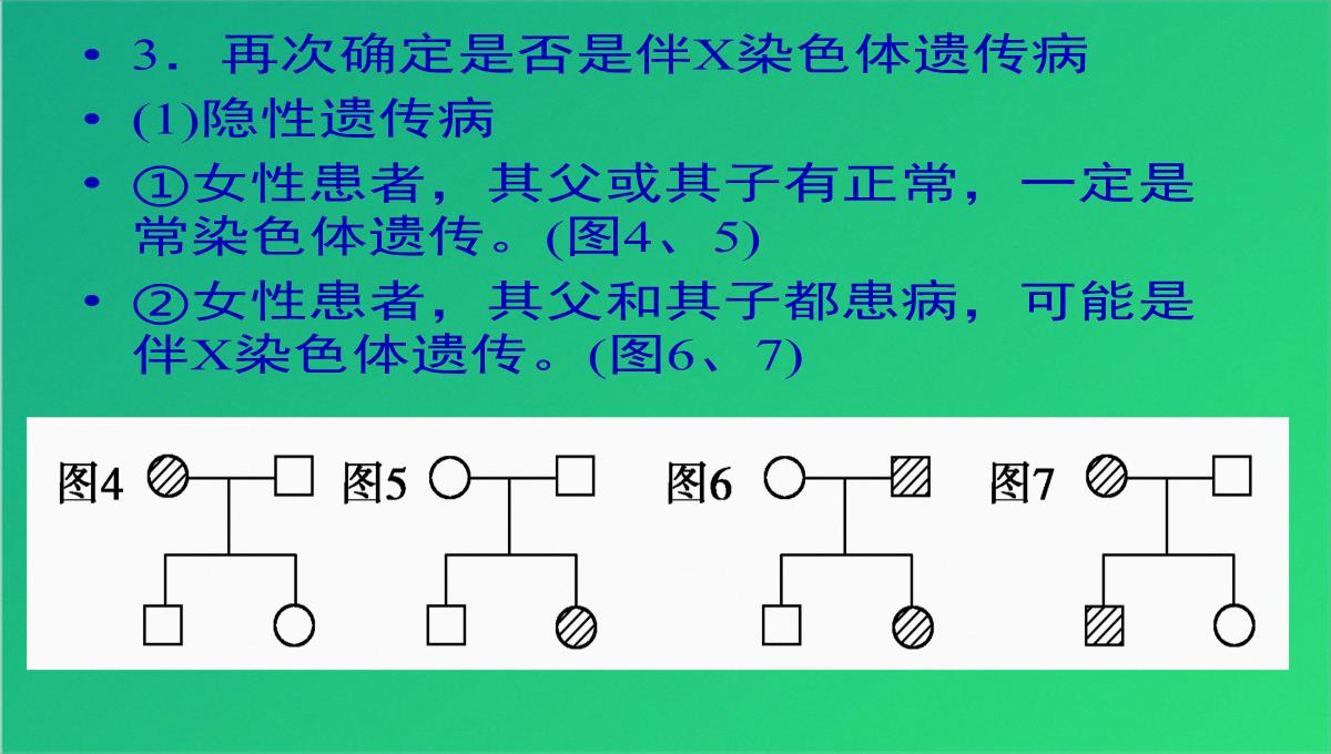 高三人教伴性遗传(共47张PPT)PPT模板_30