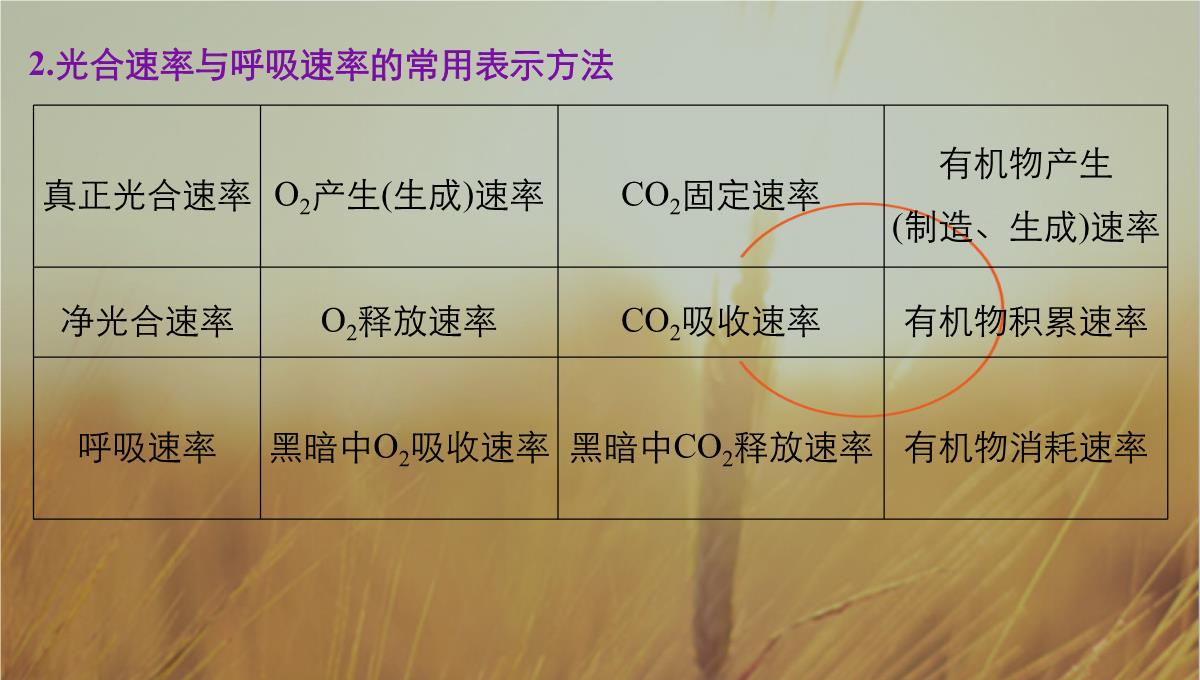 最新-2021版浙江省高考生物课件：第2单元-第10讲-光合作用的影响因素及应用-精品PPT模板_12