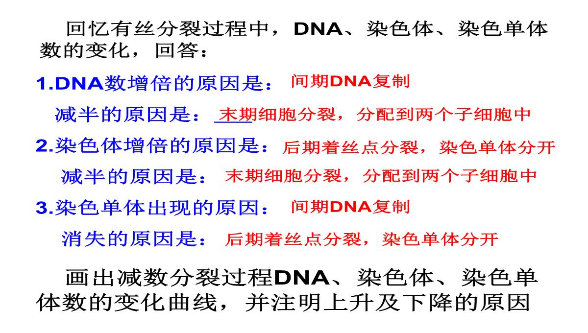 高三一轮复习生物课件：第11讲减数分裂和受精作用PPT模板_20