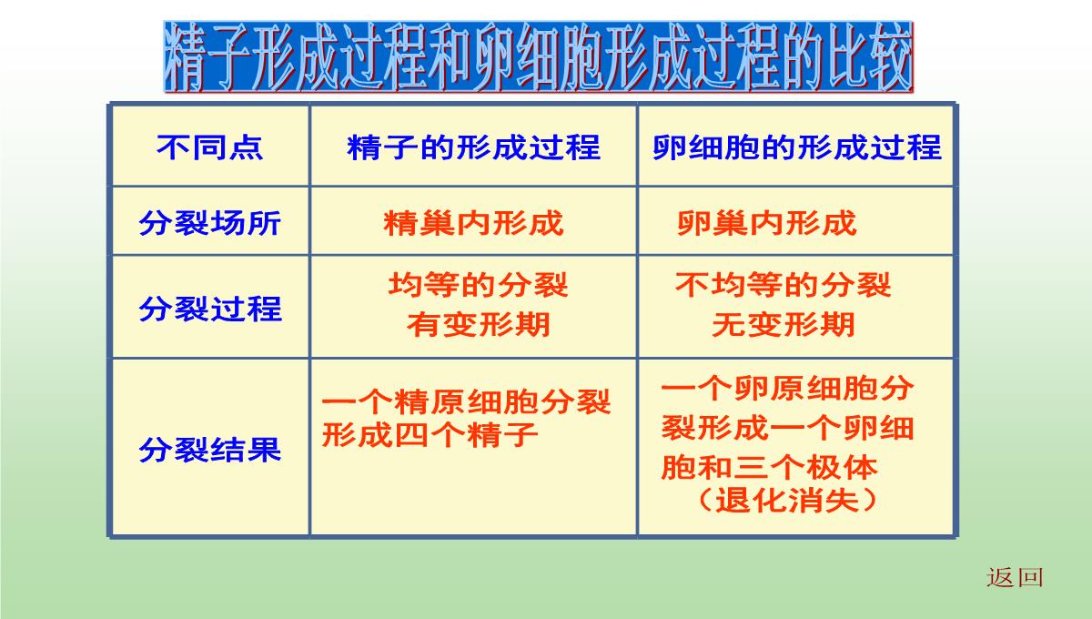 减数分裂和受精作用PPT模板_146