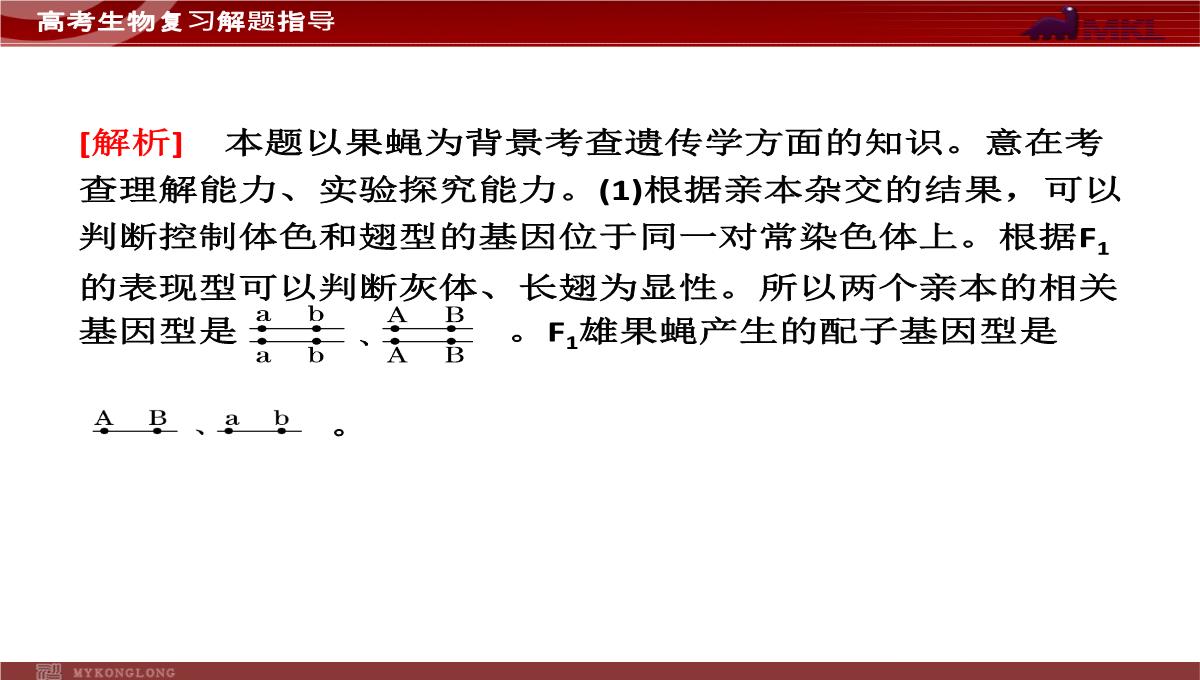 高考专题复习专题4---第3讲--遗传的基因规律、伴性遗传及人类遗传病与优生PPT模板_48