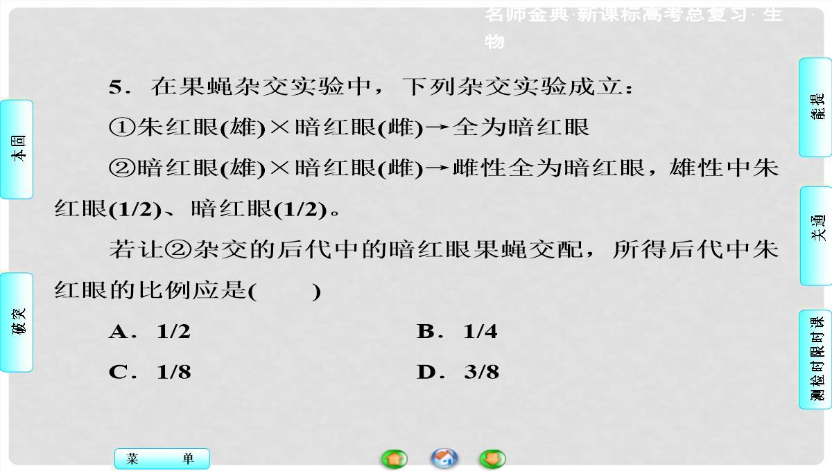 高考生物总复习-第1单元-第3讲-基因在染色体上和伴性遗传课件-新人教版必修2PPT模板_20