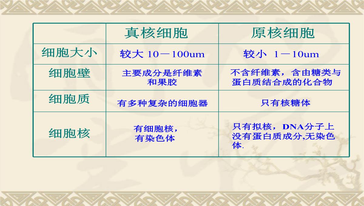 08年河南地区高二生物细胞核的结构和功能资料课件PPT模板_09