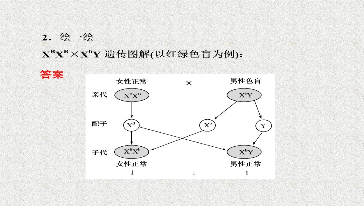 2015届高考生物(人教版通用)总复习教学课件：第17讲-基因在染色体上和伴性遗传PPT模板_14