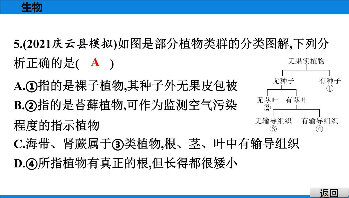 最新人教版中考生物复习第三部分-课标命题必考十大主题-专题四-生物的多样性PPT模板_09