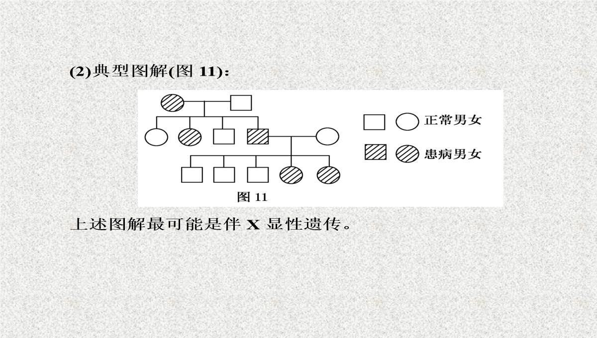 2015届高考生物(人教版通用)总复习教学课件：第17讲-基因在染色体上和伴性遗传PPT模板_34