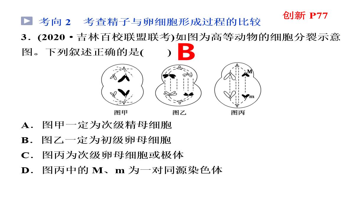 高三一轮复习生物课件：第11讲减数分裂和受精作用PPT模板_18