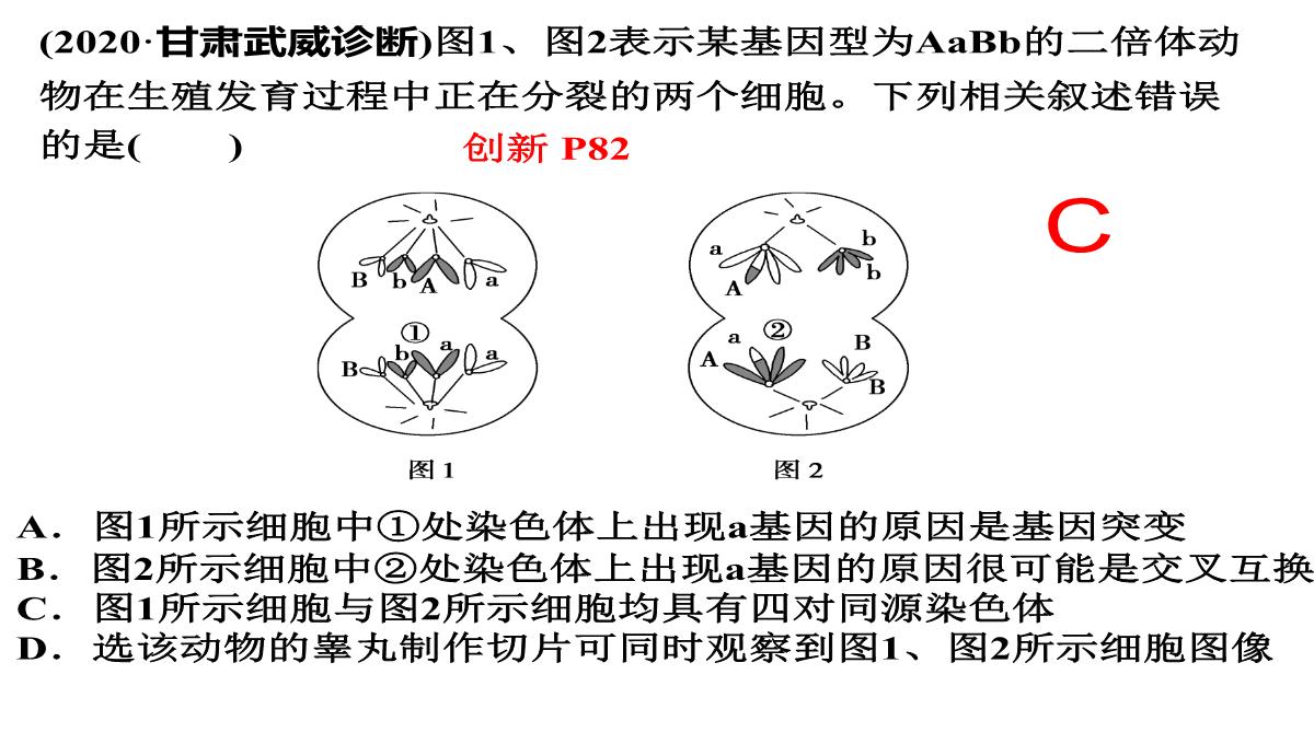 高三一轮复习生物课件：第11讲减数分裂和受精作用PPT模板_45