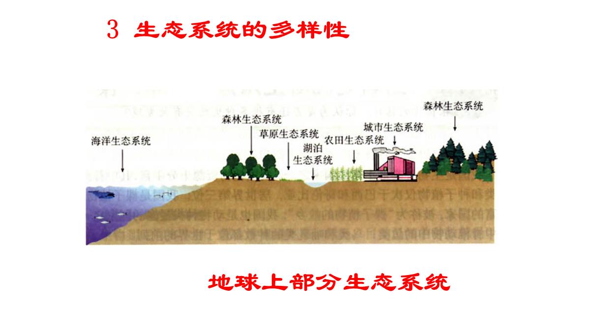 《认识生物的多样性》PPT精品课件PPT模板_49