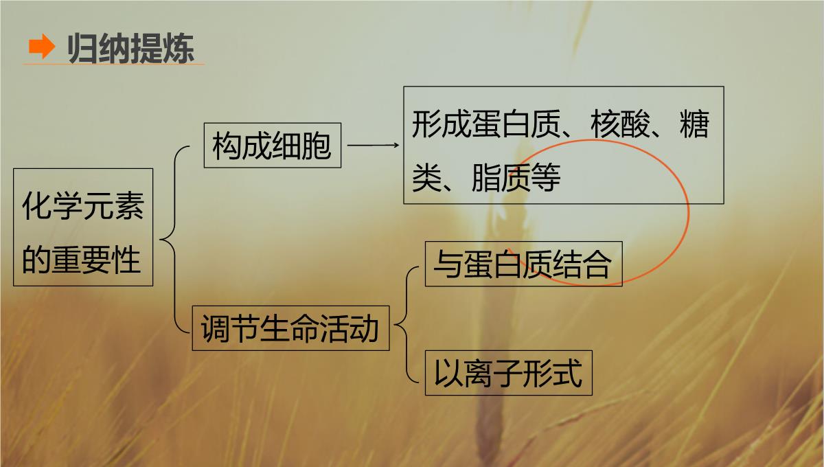 最新-2021生物北师大版必修1课件：第2章-第3课时-组成细胞的元素-精品PPT模板_11