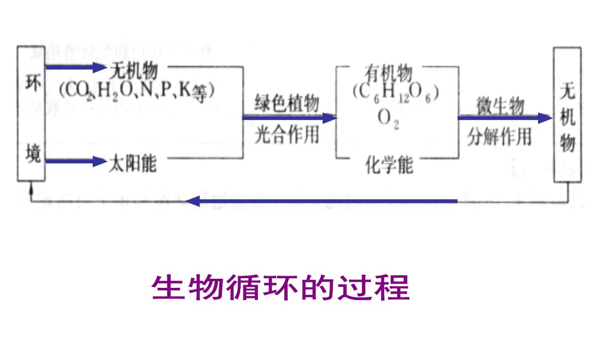 《自然地理环境的整体性》PPT优秀课件20-人教版PPT模板_11