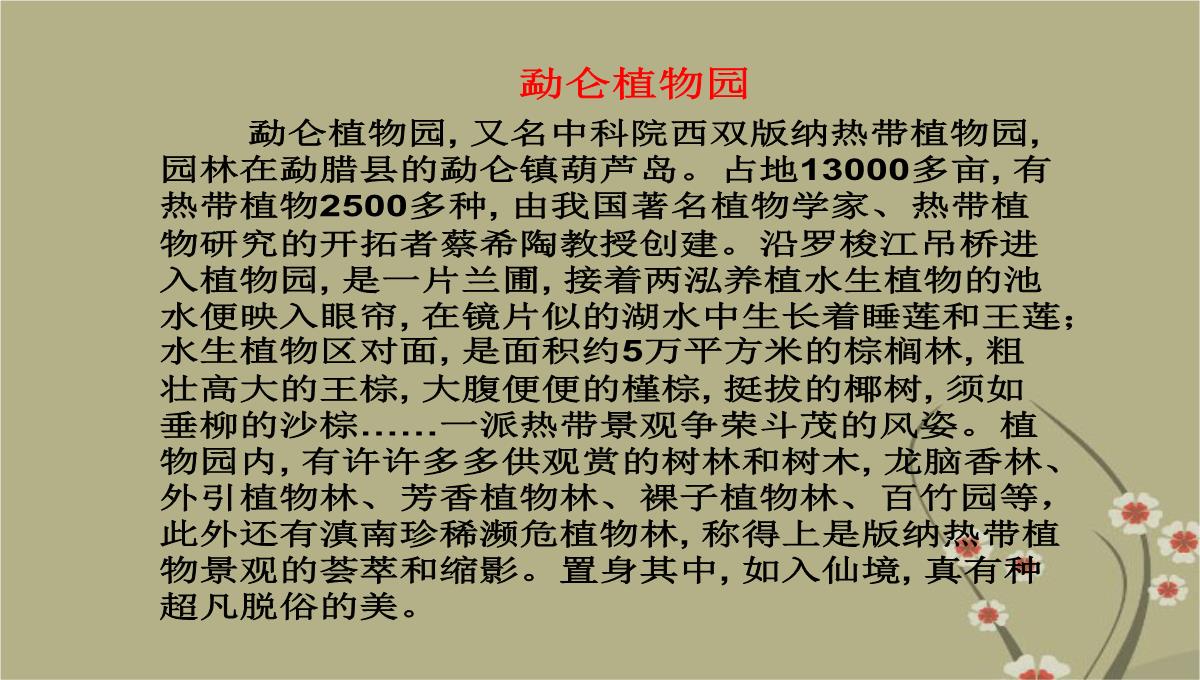 吉林省双辽市向阳乡中学八年级地理下册-第七章-第二节《西南边陲的特色旅游区—西双版纳》课件-新人教版PPT模板_46