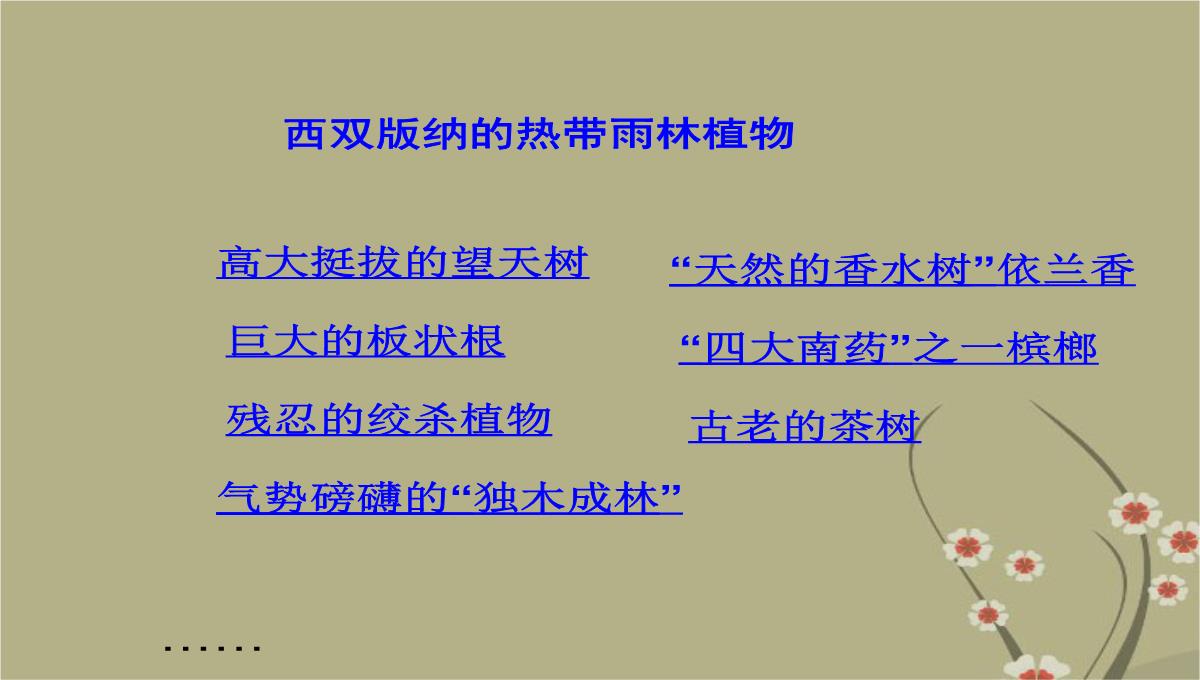 吉林省双辽市向阳乡中学八年级地理下册-第七章-第二节《西南边陲的特色旅游区—西双版纳》课件-新人教版PPT模板_18