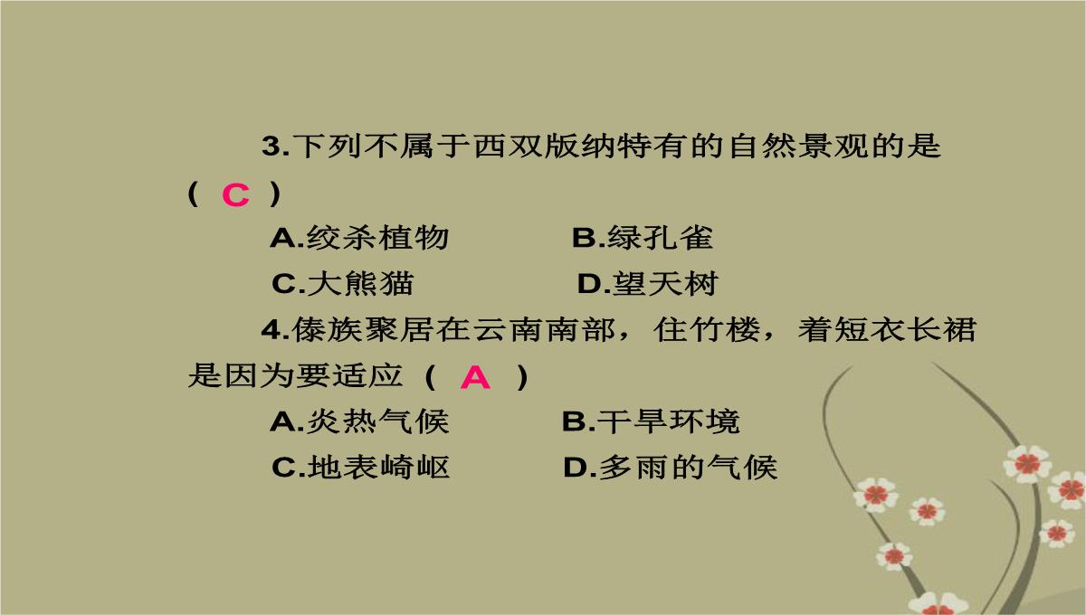 吉林省双辽市向阳乡中学八年级地理下册-第七章-第二节《西南边陲的特色旅游区—西双版纳》课件-新人教版PPT模板_57