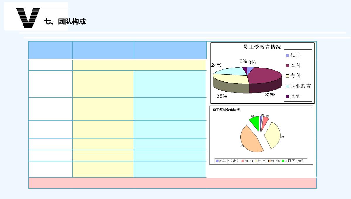 最经典商业计划书PPT模板_10