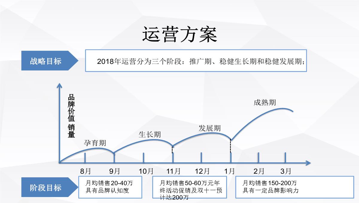 品牌入驻天猫旗舰店运营规划及计划书PPT模板_23