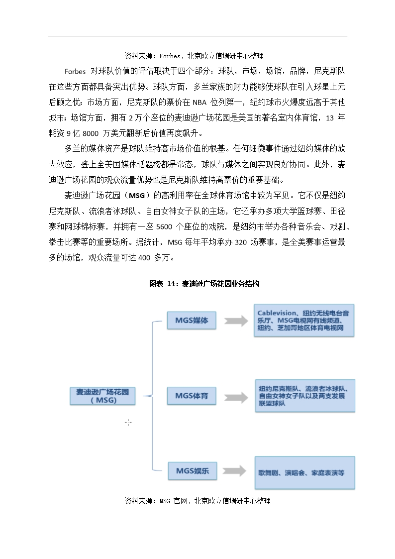 中国篮球行业市场调研分析报告Word模板_15