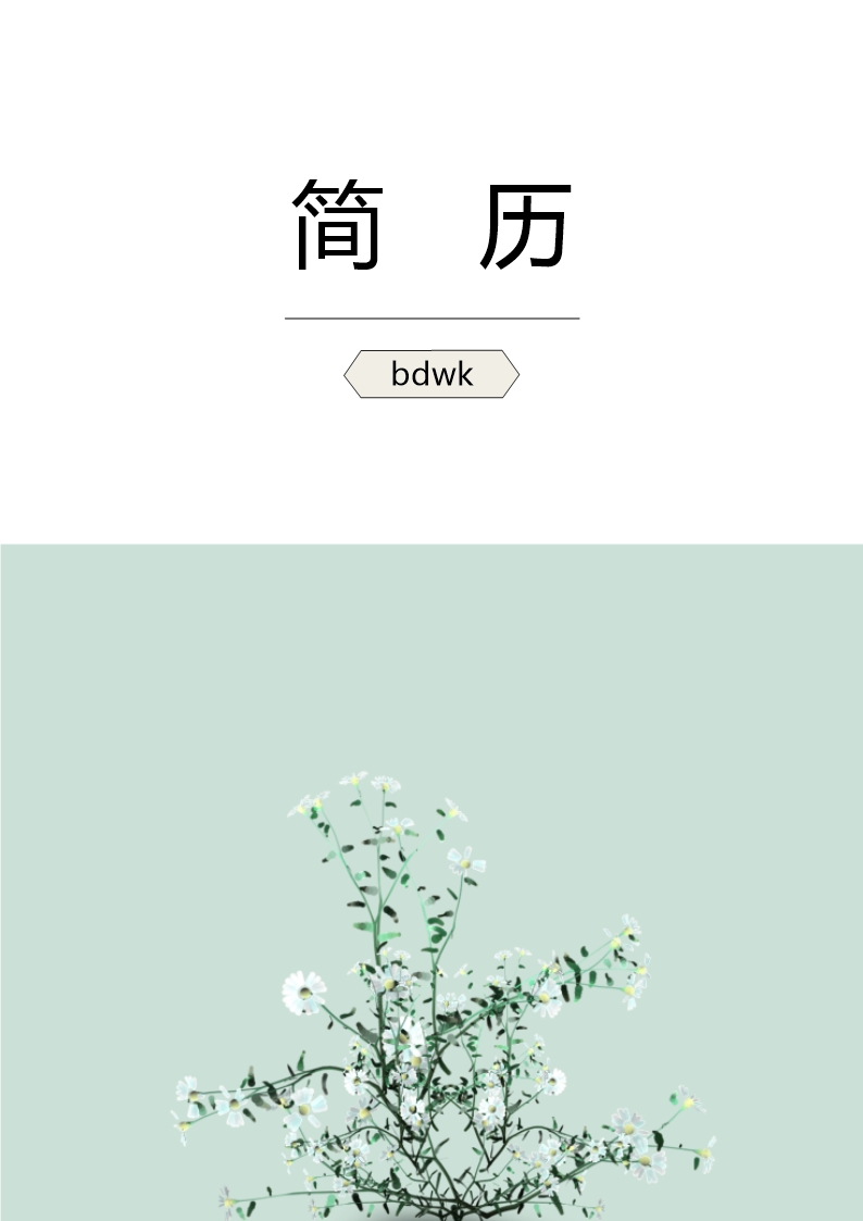 精美求職簡(jiǎn)歷之文創(chuàng)意簡(jiǎn)歷封面029Word模板