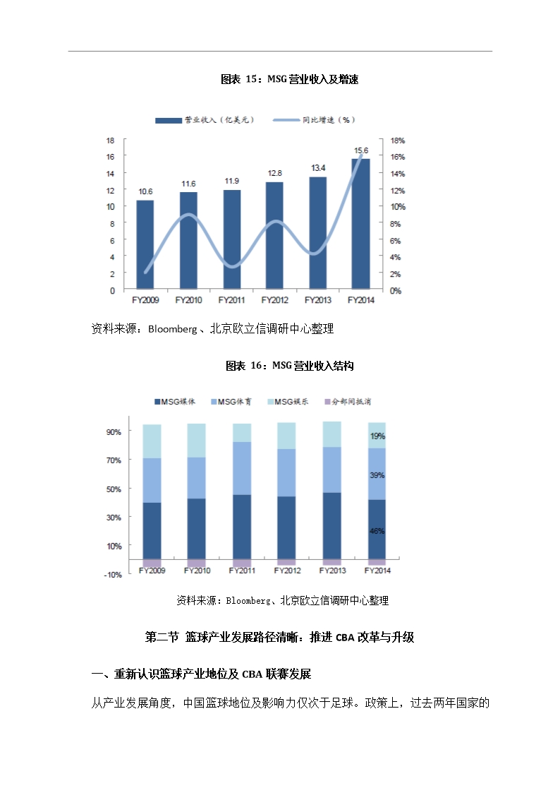 中国篮球行业市场调研分析报告Word模板_16