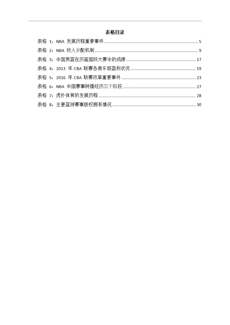 中国篮球行业市场调研分析报告Word模板_04