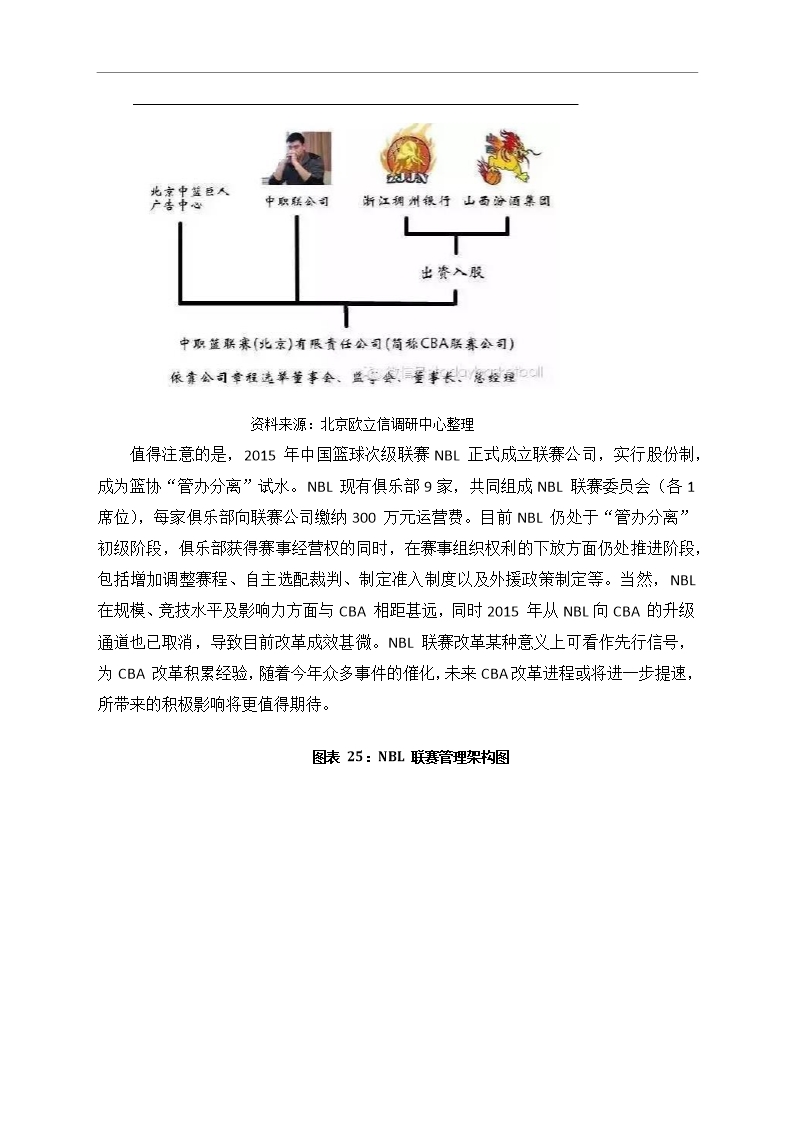 中国篮球行业市场调研分析报告Word模板_25