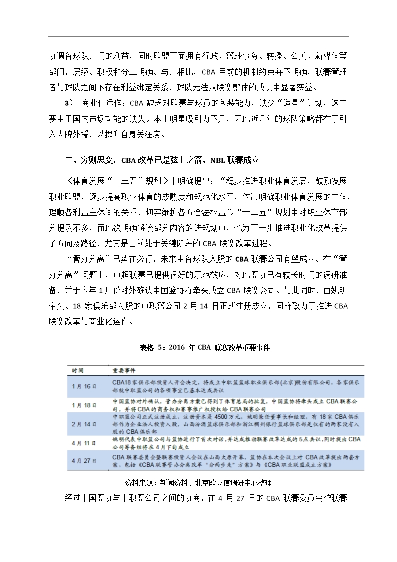 中国篮球行业市场调研分析报告Word模板_23