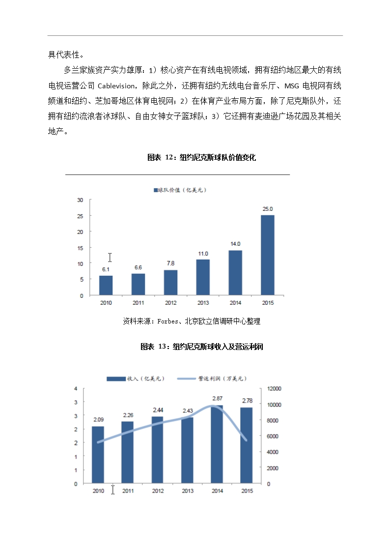 中国篮球行业市场调研分析报告Word模板_14
