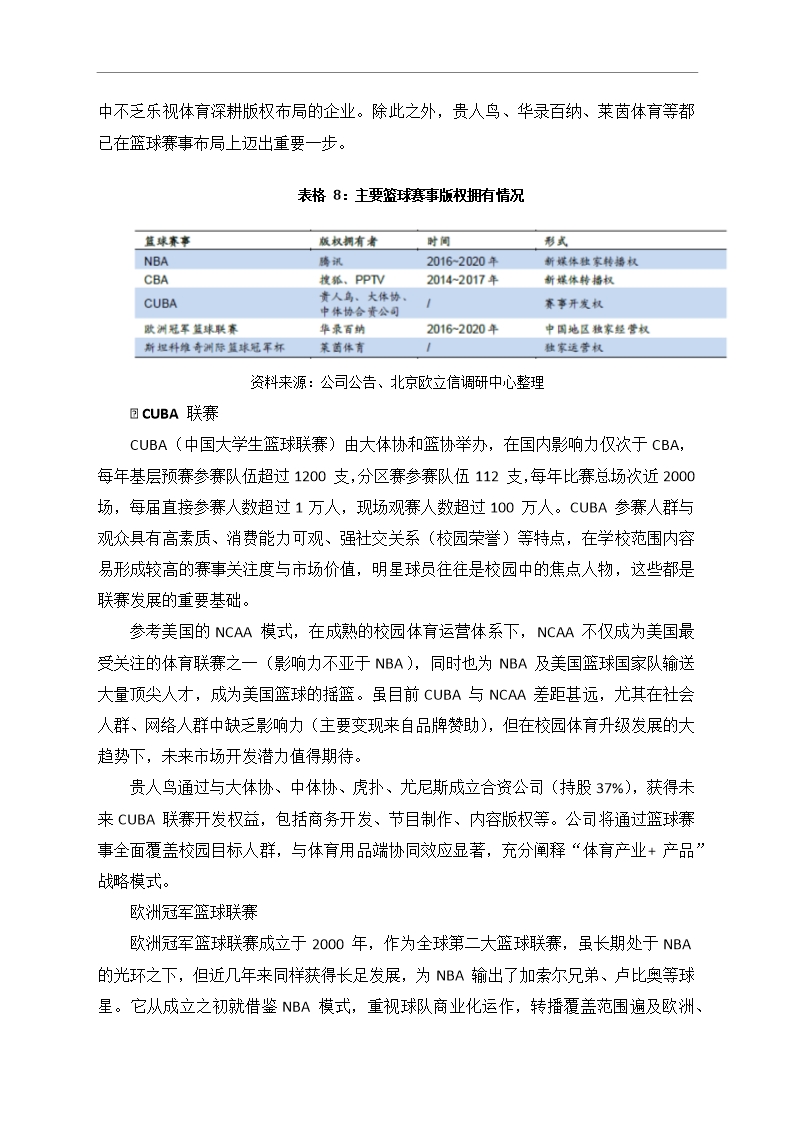 中国篮球行业市场调研分析报告Word模板_30