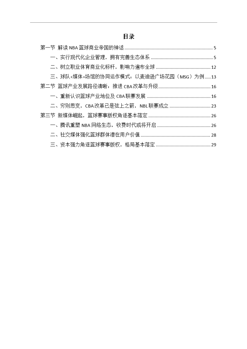 中国篮球行业市场调研分析报告Word模板_02