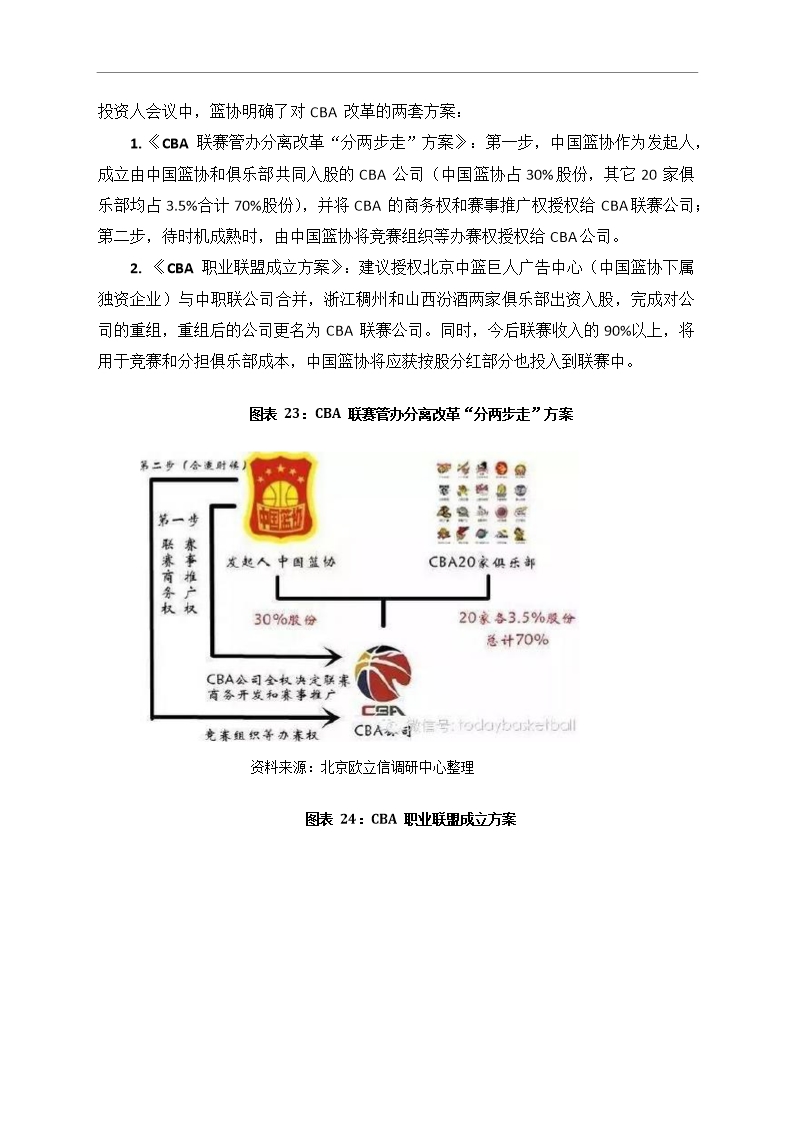 中国篮球行业市场调研分析报告Word模板_24