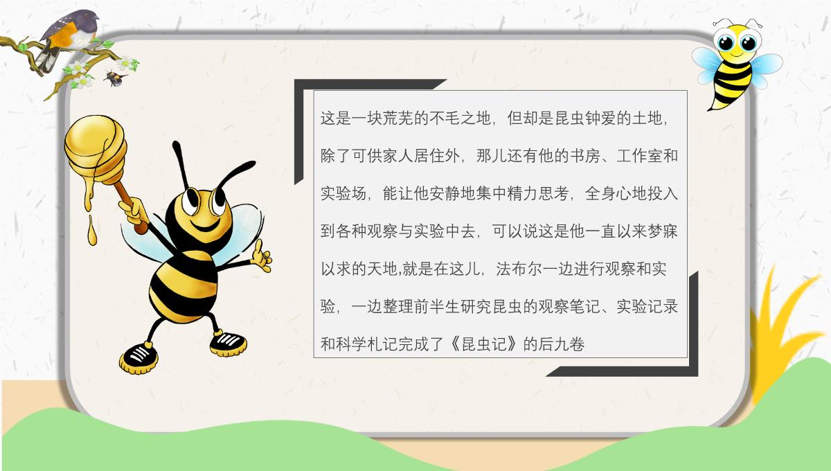 手绘卡通风法布尔《昆虫记》阅读分享读书推荐PPT课件PPT模板_09