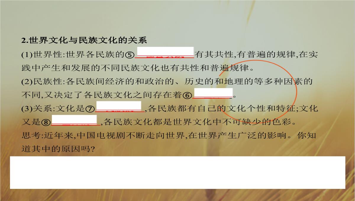 2019版高考政治北京专用一轮课件：第23课时-文化的多样性与文化传播-精品PPT模板_06