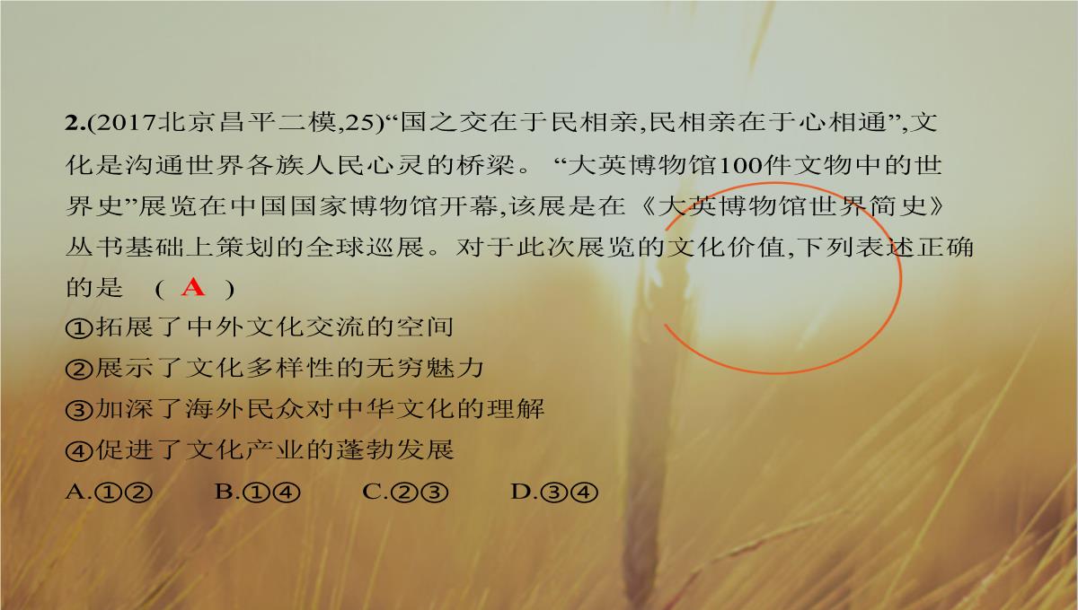 2019版高考政治北京专用一轮课件：第23课时-文化的多样性与文化传播-精品PPT模板_32