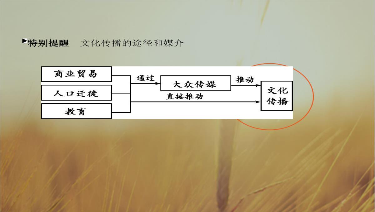 2019版高考政治北京专用一轮课件：第23课时-文化的多样性与文化传播-精品PPT模板_37