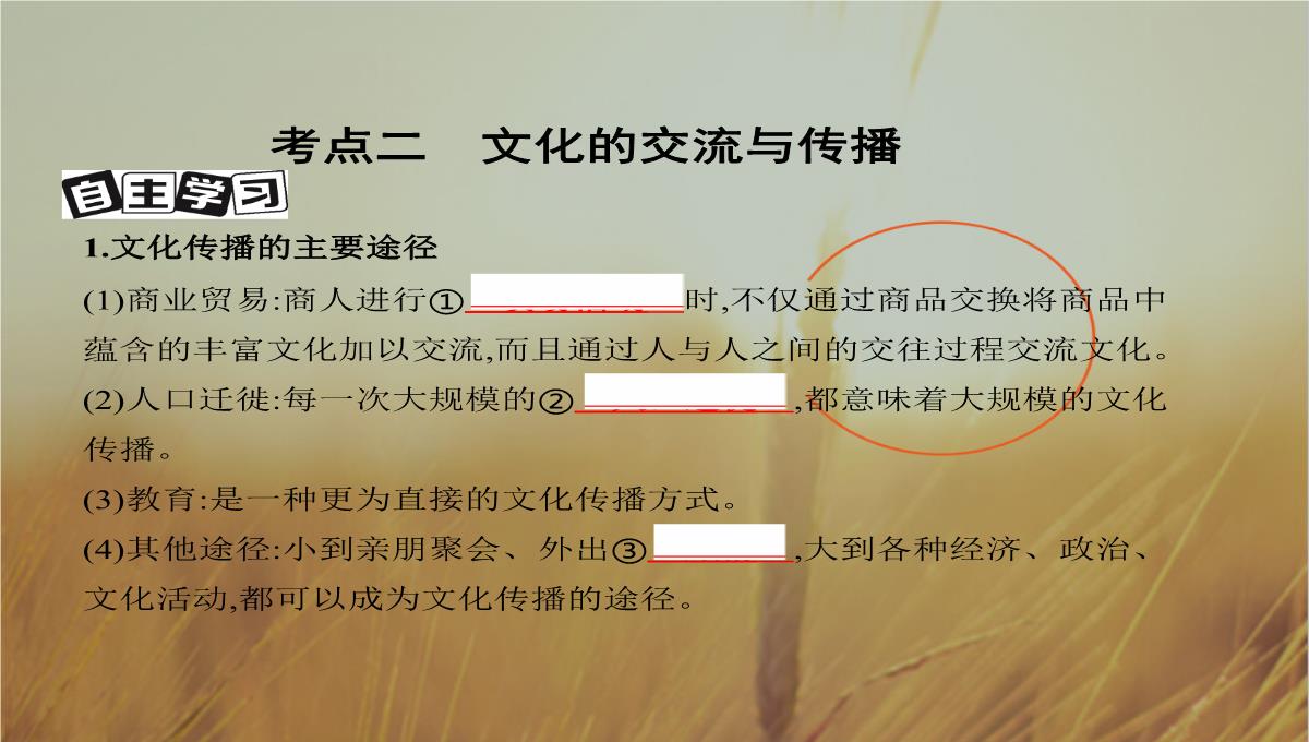 2019版高考政治北京专用一轮课件：第23课时-文化的多样性与文化传播-精品PPT模板_26