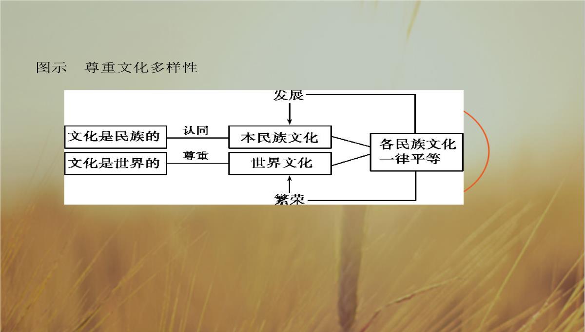 2019版高考政治北京专用一轮课件：第23课时-文化的多样性与文化传播-精品PPT模板_19