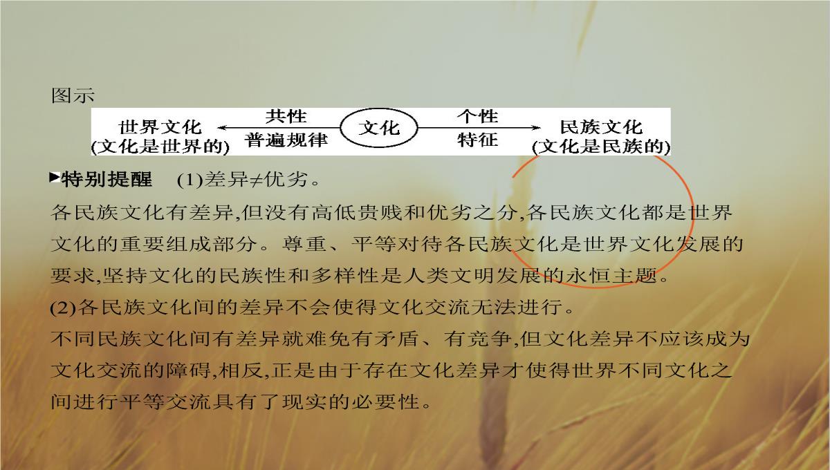 2019版高考政治北京专用一轮课件：第23课时-文化的多样性与文化传播-精品PPT模板_16