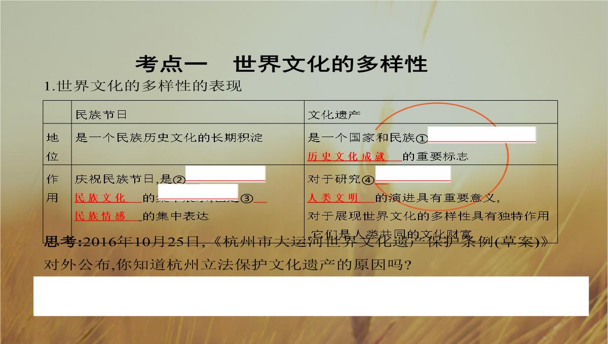 2019版高考政治北京专用一轮课件：第23课时-文化的多样性与文化传播-精品PPT模板_05