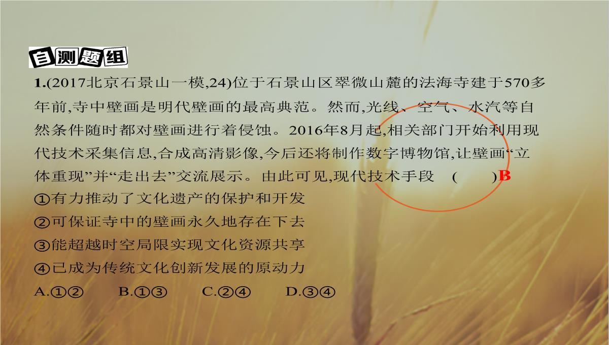 2019版高考政治北京专用一轮课件：第23课时-文化的多样性与文化传播-精品PPT模板_08