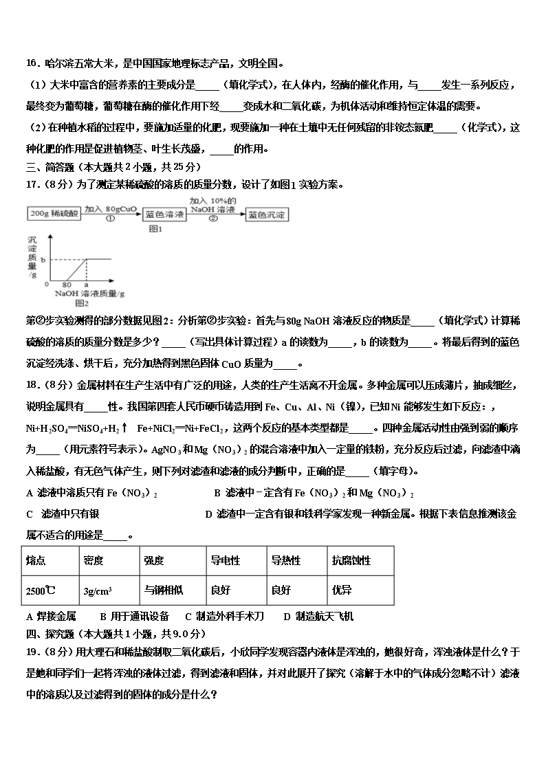 2022年山东东营市初中化学毕业考试模拟冲刺卷含解析Word模板_04