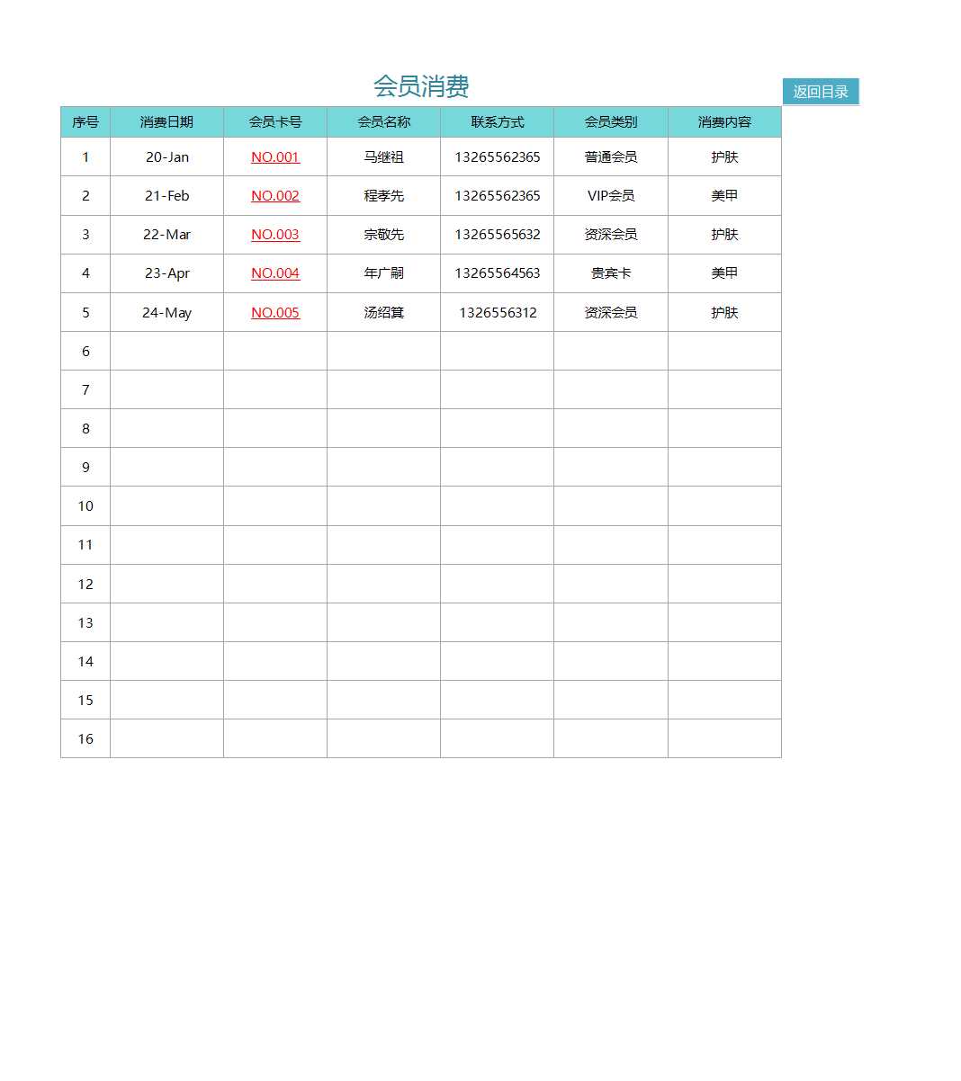 VIP会员管理系统Excel模板_05