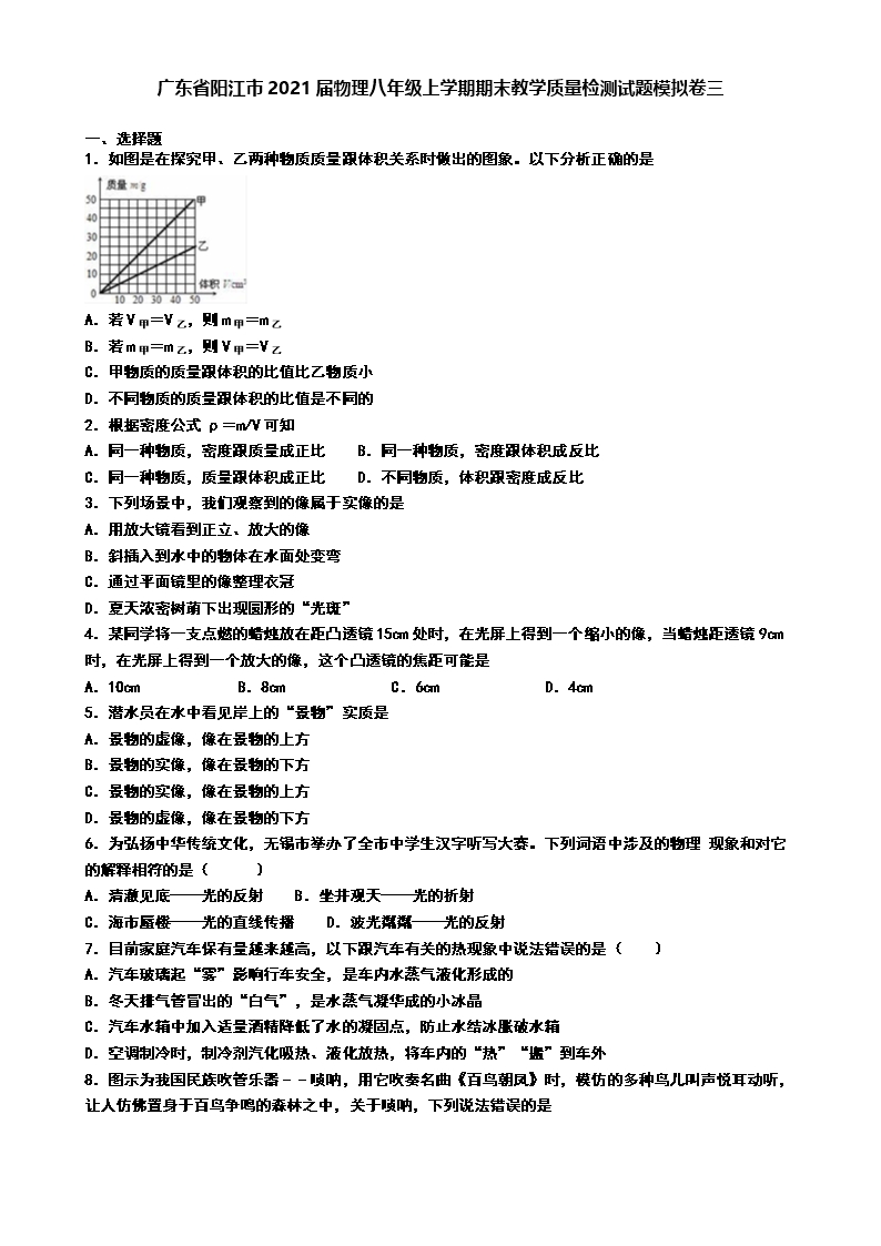 广东省阳江市2021届物理八年级上学期期末教学质量检测试题模拟卷三Word模板